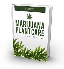 the cannabis grow bible free download