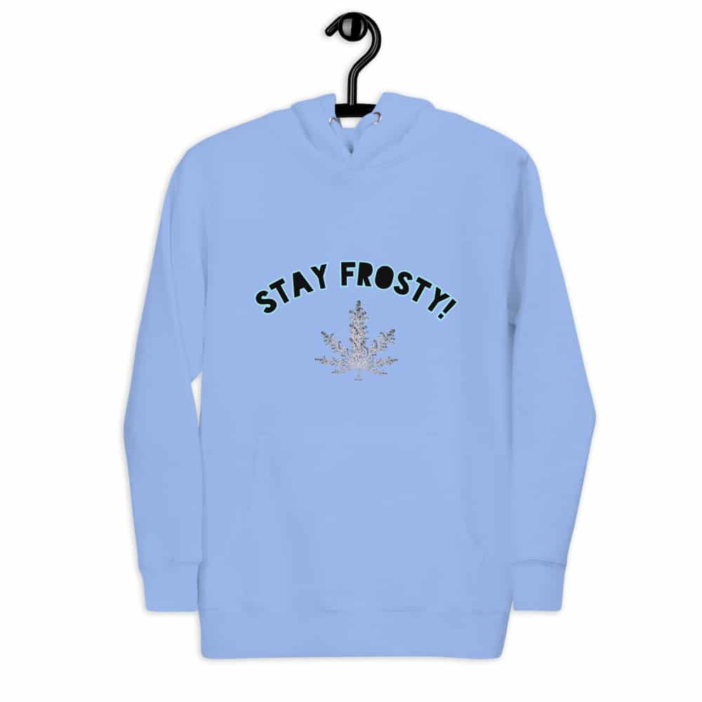 Stay Frosty Hoodie with Logo on back - Image 3