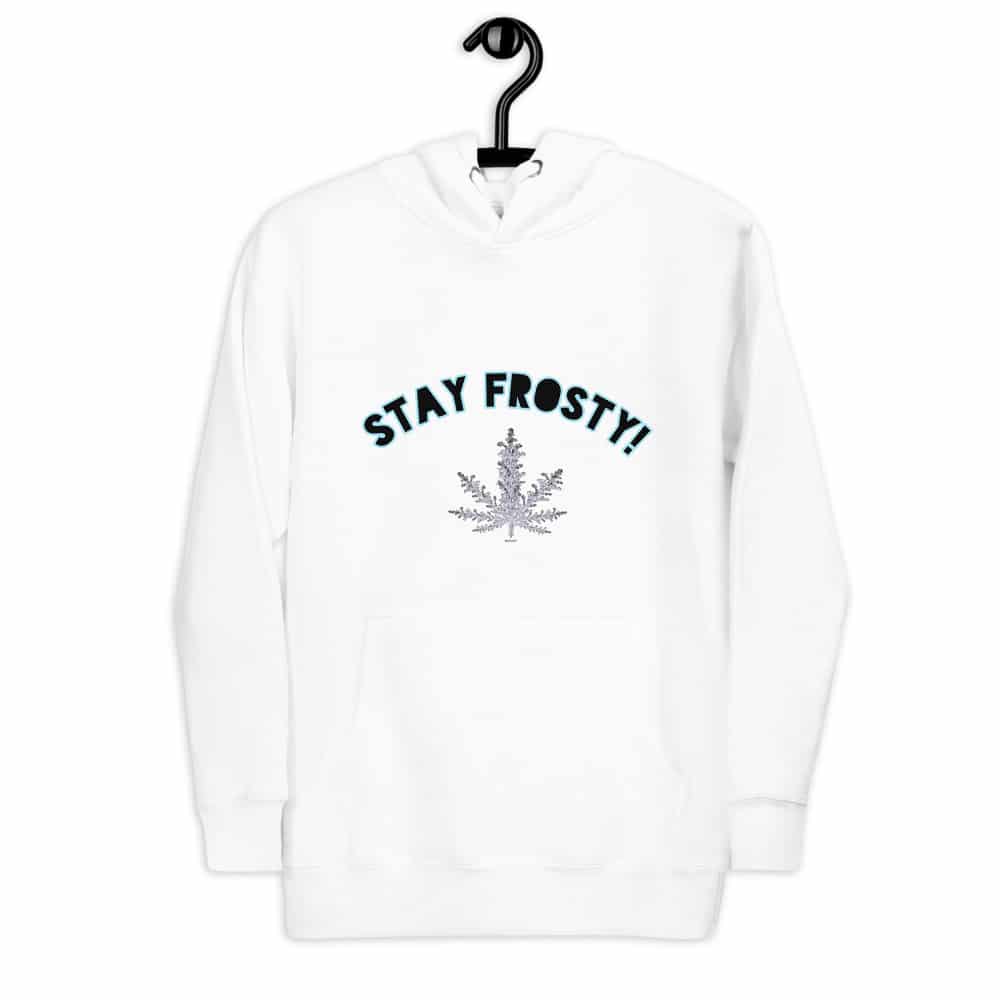 Stay Frosty Hoodie with Logo on back - Image 5
