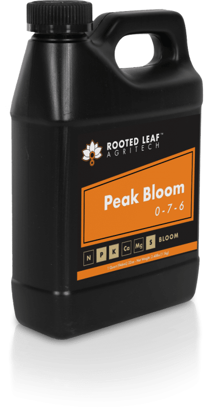 Rooted Leaf Starter Kit - Image 4
