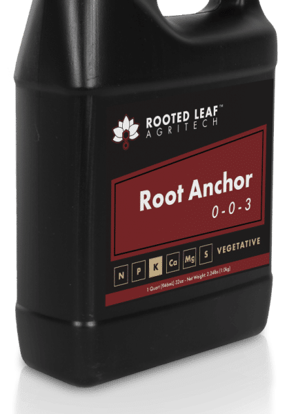 Root Anchor