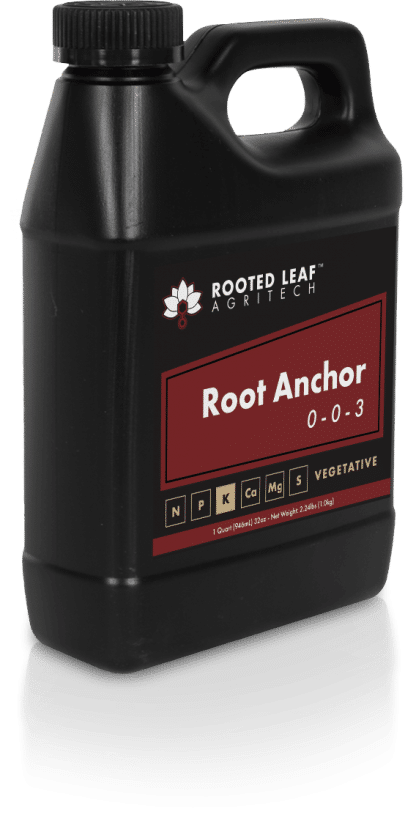 Rooted Leaf Starter Kit - Image 3
