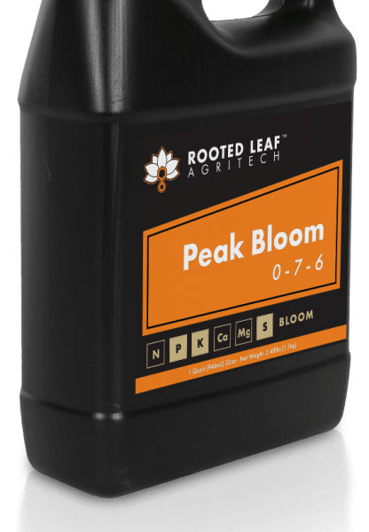 Peak Bloom
