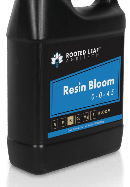 Resin Bloom