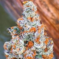 Cherry Pie Feminized Seeds