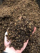 Mushroom Cultivation Supplies
