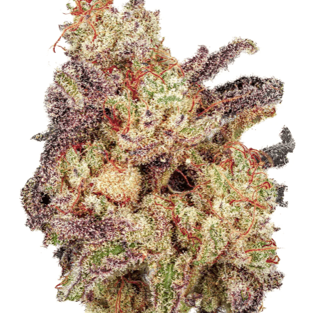 GiGi's SnowBerry Swirl s1